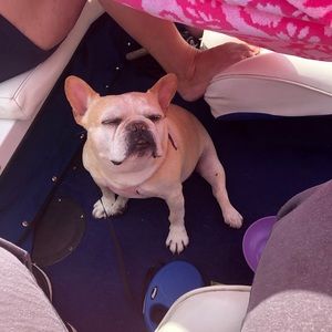 Meet your Posher, Annie